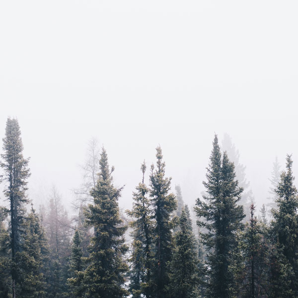 Therapy for Teens / Adolescents