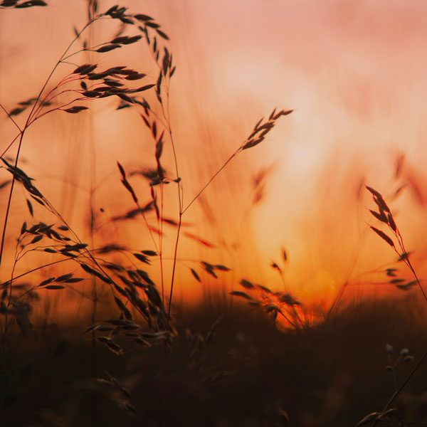 Therapy for Children